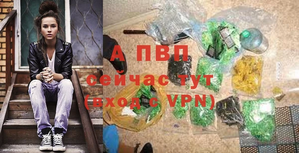 крисы Армянск
