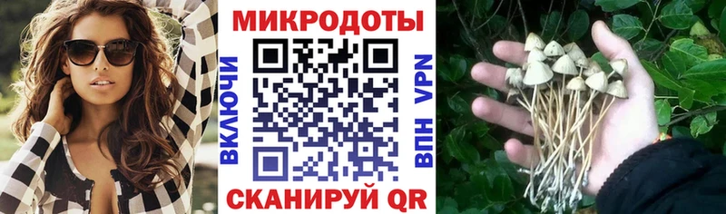 Псилоцибиновые грибы прущие грибы наркотики Кашира