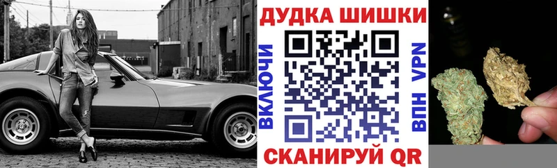 Каннабис сатива  где продают   Кашира 
